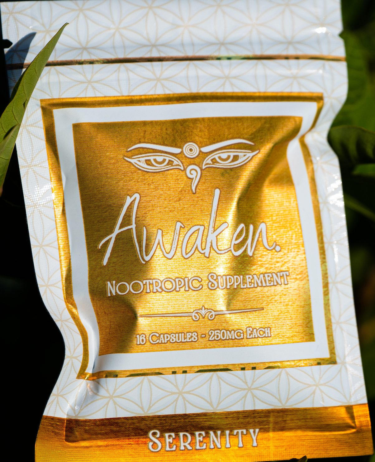 Daily Botanical Capsules β 250mg